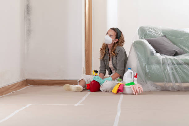 Reliable Mold Remediation contractor in Moyock, NC by 24 Hour Mold Removal